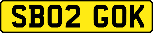 SB02GOK