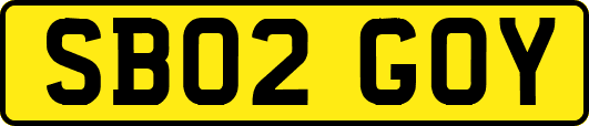 SB02GOY