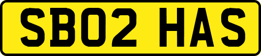 SB02HAS