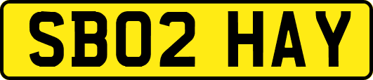 SB02HAY