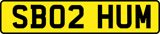 SB02HUM