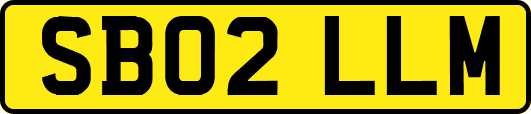 SB02LLM