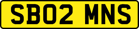 SB02MNS