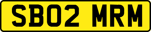 SB02MRM