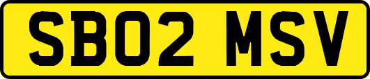 SB02MSV