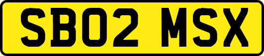 SB02MSX