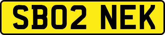 SB02NEK