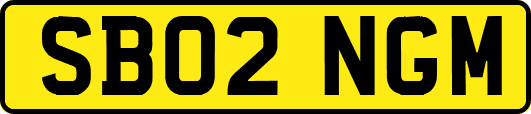 SB02NGM