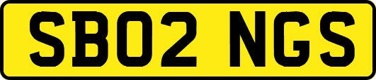 SB02NGS