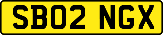 SB02NGX