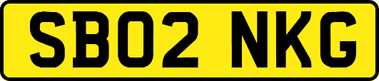 SB02NKG