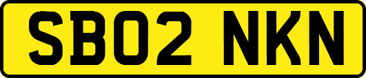 SB02NKN