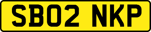 SB02NKP