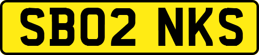 SB02NKS