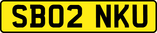 SB02NKU