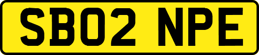 SB02NPE