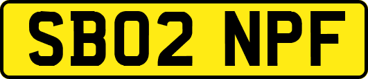 SB02NPF