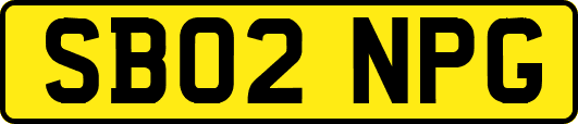 SB02NPG