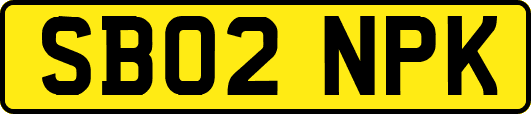 SB02NPK