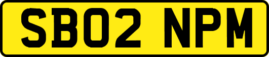 SB02NPM
