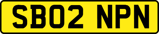 SB02NPN