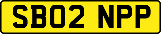 SB02NPP