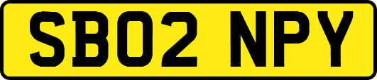 SB02NPY