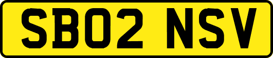 SB02NSV