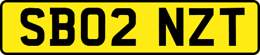 SB02NZT