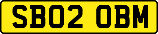SB02OBM