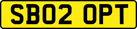 SB02OPT