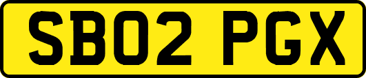 SB02PGX