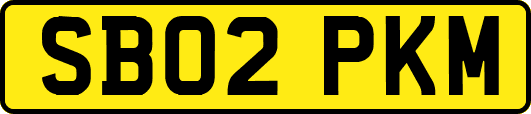 SB02PKM