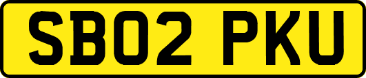 SB02PKU