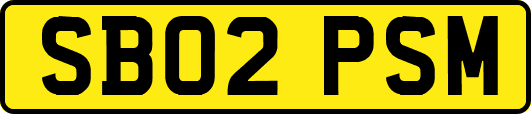 SB02PSM