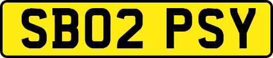 SB02PSY