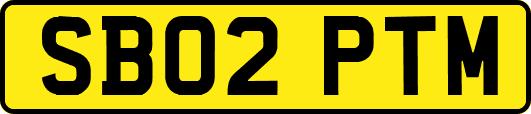 SB02PTM