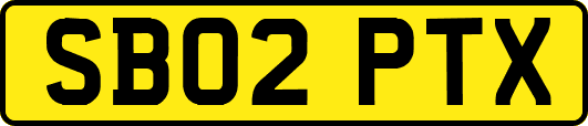 SB02PTX