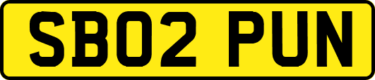 SB02PUN