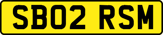 SB02RSM