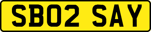 SB02SAY