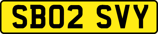 SB02SVY