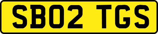 SB02TGS