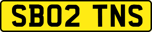 SB02TNS