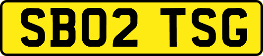 SB02TSG