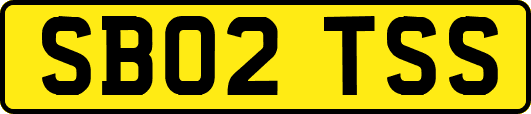 SB02TSS