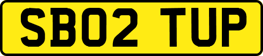 SB02TUP