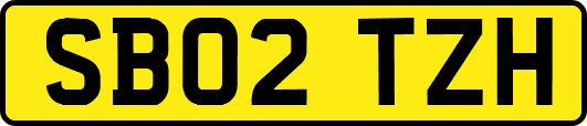 SB02TZH
