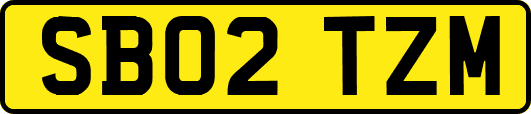 SB02TZM