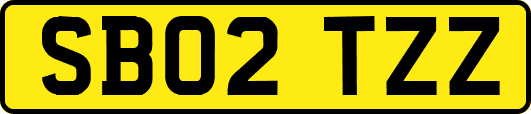SB02TZZ